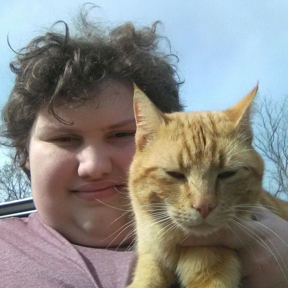 Meet your Posher, Dakota - Picture 1 of 1